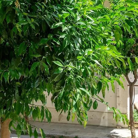 New And Renovated Close To Megaro Mousikis Apartment Athens